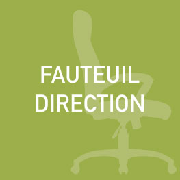 fauteuil-direction-prosiege