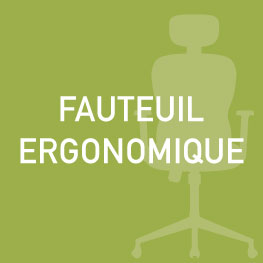 fauteuil-ergonomique-prosiege