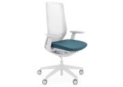 Fauteuil Accis Pro Télégris 12