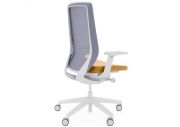 Fauteuil Accis Pro Télégris 5