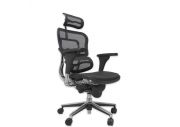 Fauteuil ergonomique Tech Ergo Human 21
