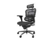 Fauteuil ergonomique Tech Ergo Human 27