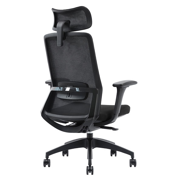 Fauteuil de bureau ergonomique, design, accoudoirs réglables synchron, ERGON