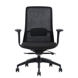 Chaise ergonomique avec soutien lombaire Polar noir