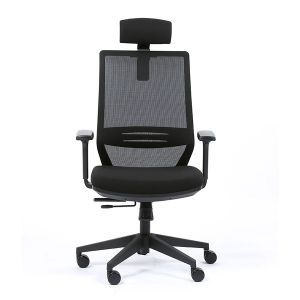 Fauteuil de bureau accoudoirs 1D avec têtière Tecsy