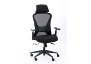 Fauteuil ergonomique Designer 1