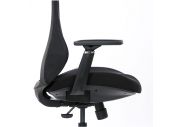 Fauteuil ergonomique Designer 10