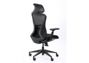 Fauteuil ergonomique Designer 2