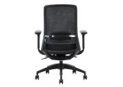 Chaise ergonomique avec soutien lombaire Polar noir 5