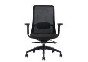 Chaise ergonomique avec soutien lombaire Polar noir 1