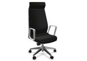 Fauteuil Eden 02 avec têtière 1