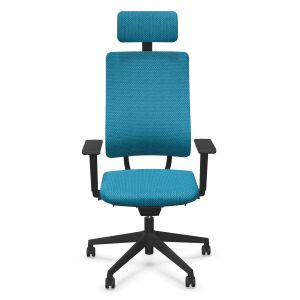 Fauteuil Newback avec têtière