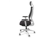 Fauteuil Newback blanc avec têtière 20