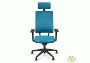 Fauteuil Newback avec têtière 4