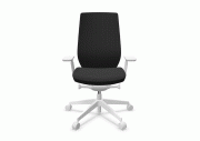 Fauteuil Accis Pro Télégris 3