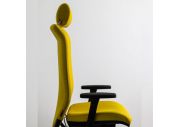 Fauteuil direction Strong Auguste 5