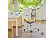 Ensemble Fauteuil Evo, bureau Ogi Y et caisson 5