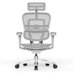 Fauteuil ergonomique - usage 24/24h Prague