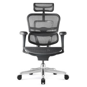 Fauteuil ergonomique Tech Ergo Human classic 2