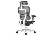 Fauteuil ergonomique Tech Ergo Human classic 2 5