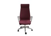 Fauteuil aluminium poli Eden 02 avec têtière 313