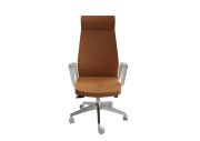 Fauteuil aluminium poli Eden 02 avec têtière 394