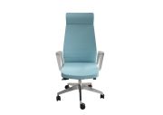 Fauteuil aluminium poli Eden 02 avec têtière 61