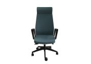 Fauteuil noir Eden 02 avec têtière 1