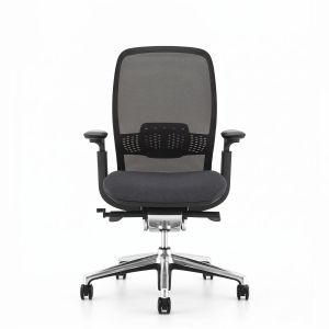 Fauteuil ergonomique avec accoudoirs 4D Iris-A
