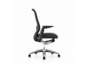 Fauteuil ergonomique avec accoudoirs 4D Iris-A 2